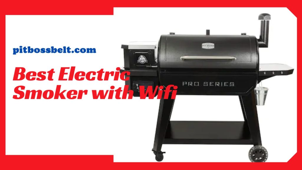 Best Electric Smoker with Wifi