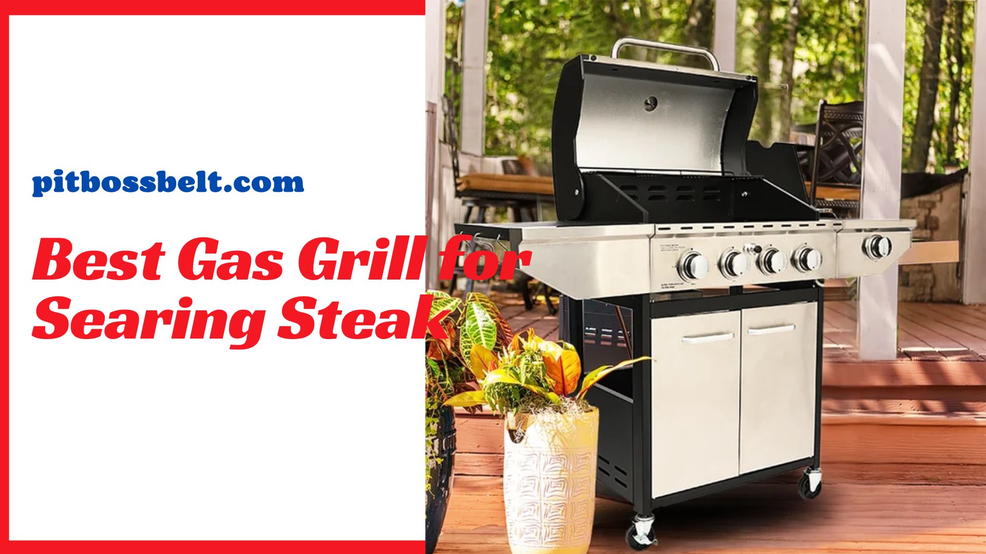 Best Gas Grill for Searing Steak