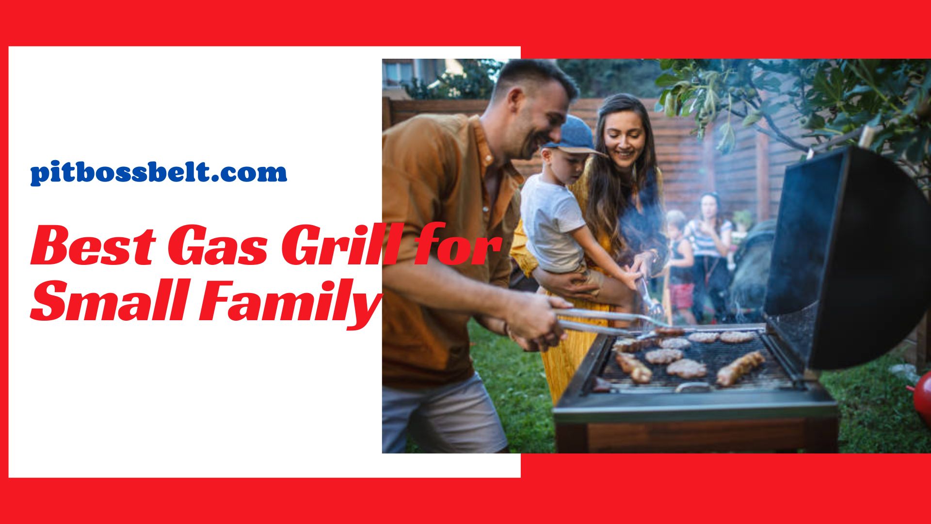 Best Gas Grill for Small Family
